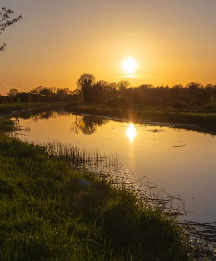 Family enjoying sunset by a tranquil river in a serene countryside.