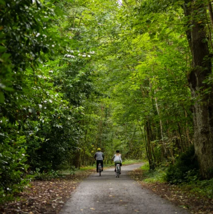 Couple cycling on a serene, leafy path in lush green woodland.