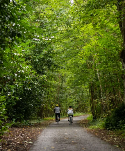 Couple cycling on a serene, leafy path in lush green woodland.