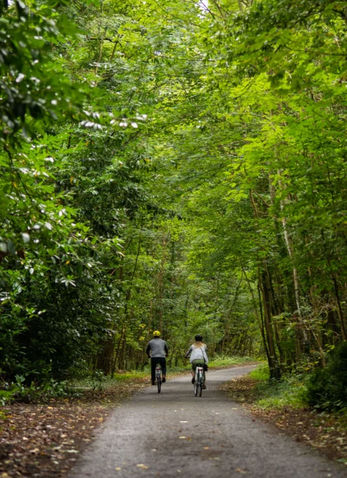 Couple cycling on a serene, leafy path in lush green woodland.