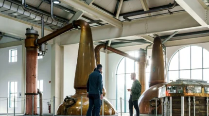 A couple enjoys a guided tour in a distillery with large copper stills in a brightly lit room.
