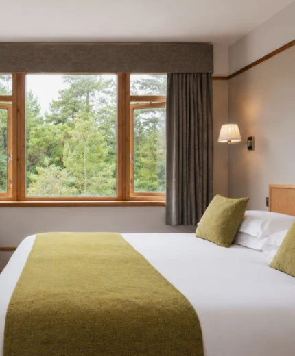 Cosy hotel room with a forest view through large windows