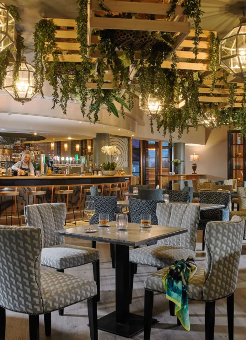 Cosy hotel lounge bar with modern seating and hanging greenery, welcoming atmosphere.