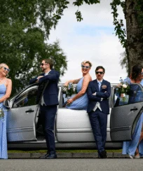 Wedding Guests Celebrations